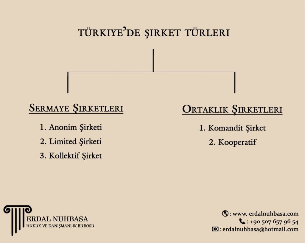 şirket